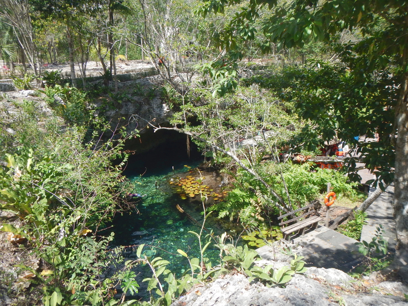 Gran Cenote 17